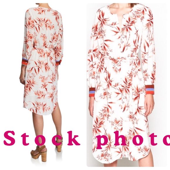 NWT JOIE "JEANEE" Floral-Print 3/4-Sleeve Dress in Porcelain - Size Large - Picture 11 of 13